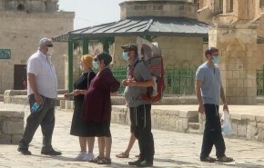 اغلاق باب المغاربة بعد اقتحام 66 صهيوني للمسجد الاقصى