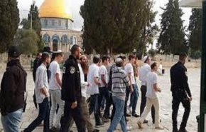 اقتحام مستوطنين صهاينة باحات المسجد الاقصى بحماية قوات الإحتلال 