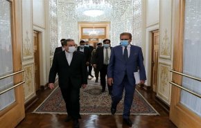 قلق ايراني باکستاني مشترك من حضور داعش الارهابي في افغانستان 