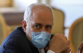ظريف: على الأمة الإسلامية أن تتخذ موقفا موحدا في مواجهة الإسلاموفوبيا
