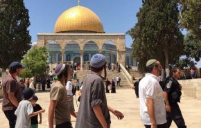 411 مستوطنا وعشرات الجنود اقتحموا الأقصى خلال أسبوع