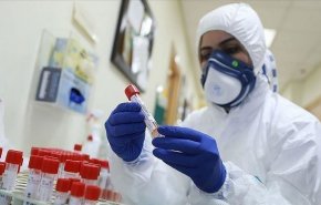20 حالة وفاة و2353 إصابة جديدة بفايروس كورونا في فلسطين 
