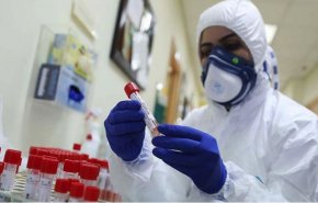 فلسطين.. 16 وفاة و2248 إصابة جديدة بـ 'كورونا'