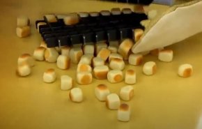 علماء روس يطورون دفيئة لاستنبات الحبوب بالفضاء