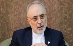 صالحي: الصناعة النووية لن تتوقف ولن تتباطأ مع الاتفاق النووي