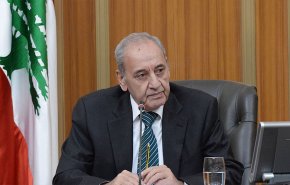 رئيس مجلس النواب اللبناني يلتقى وزير الخارجية المصري