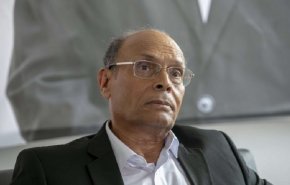 المرزوقي يتبرأ من سعيد ويتضامن مع المعارضين المصريين