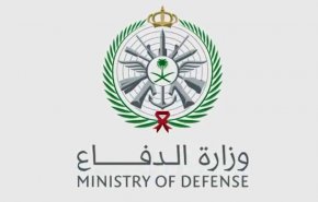 السعودية: تنفيذ حكم الإعدام بحق 3 عسكريين