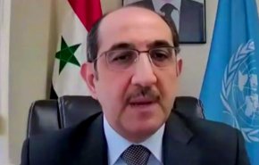 سوريا تعلق على مشروع القرار الفرنسي المقدم لمنظمة حظر الأسلحة
