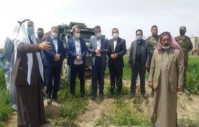 حقيقة غزو أسراب جراد للمحاصيل الزراعية في سوريا