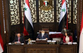 امرأة ثانية تتقدم بطلب ترشح إلى انتخابات الرئاسة السورية.. من هي ؟؟