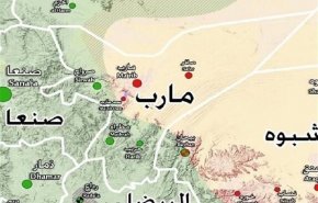الداخلية اليمنية تكشف عن نشاط تنظيم القاعدة في مأرب