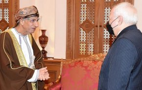 ظريف يلتقي نائب رئيس مجلس الوزراء العماني في مسقط