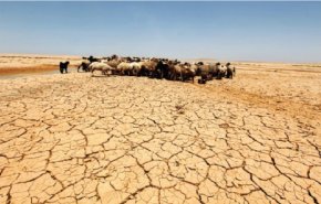 شبح العطش يُظلّل الأردن: نحو طلب العون من دمشق؟