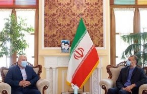  عبد اللهيان: المقاومة غيرت المعادلة لصالح فلسطين