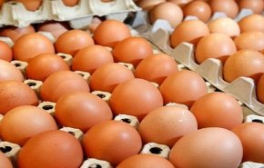 لا ترميها بعد اليوم.. أفضل طريقة لاستغلال كرتونة البيض الفارغة