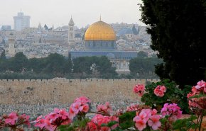 شاهد.. فلسطين وأسباب رمزيتها لدی المسلمين 