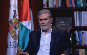 اشعال الميدان على حدود قطاع غزة بعد رسالة 