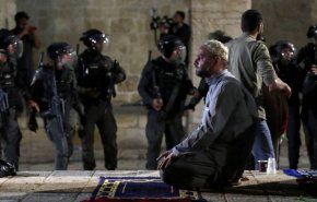 مفتي الديار اليمنية: القضية الفلسطينية قضية المسلمين جميعا
