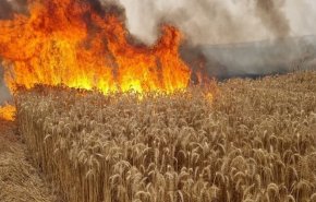 40 حريقا في غلاف غزة ببالونات المقاومة الفلسطينية
