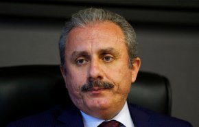رئيس البرلمان التركي يؤكد على حق الفلسطينيين في الدفاع عن النفس