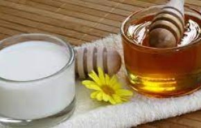 بينها العسل واللبن...أغذية تحارب البكتيريا والجراثيم بشكل طبيعي