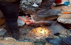 قصيدة 'دُمُوعُ فلسطين'..
