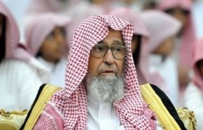 فتوى سعودية جديدة بخصوص سب الحكام!