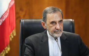 ولايتي: ما حدث في غزة كان وعدا إلهيا 