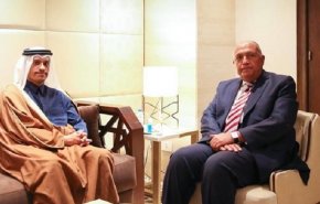 وزير الخارجية المصري يلتقي نظيره القطري لإجراء مباحثات
