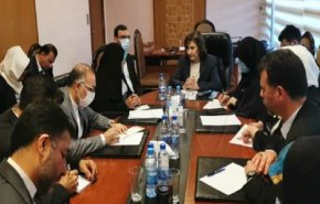 الوفد البرلماني الإيراني يلتقي في دمشق بالمستشارة بثينة شعبان
