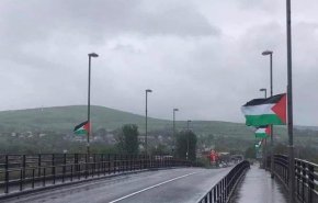البرلمان الايرلندي يصوت لصالح إدانة التهجير القسري للفلسطينيين