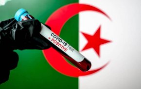 الجزائر تُسجّل 272 إصابة جديدة بـ كورونا و7 وفيات