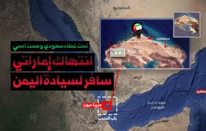 تحت غطاء سعودي وصمت اممي .. انتهاك اماراتي سافر لسيادة اليمن