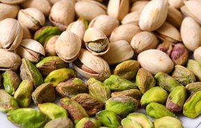 ماذا يحدث للجسم عند تناول الفستق الحلبي يوميا؟