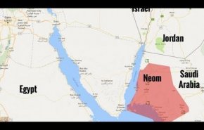 فساد في مشروع نيوم.. والمفاجأة:سعر الشجرة الواحدة 10 آلاف ريال!