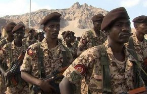 شاهدبالفیدیو.. رسائل الاسری السودانیین لتحالف العدوان