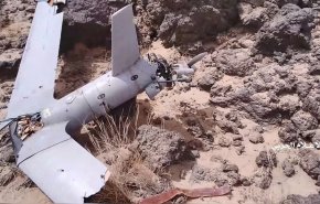 مشاهد جديدة من حطام طائرتي التجسس الأمريكية Scan-Eagle 