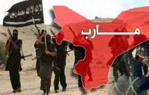 اعتراف جديد يكشف خفايا القلق الأمريكي من تحرير مأرب