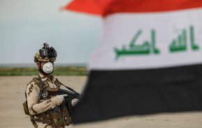 تنظيم 