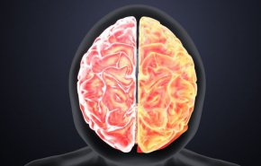 11 اطعمة تؤثر بشكل سحري على تعزيز الدماغ