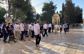 شاهد.. مستوطنون يقتحمون المسجد الأقصى وينفذون جولات استفزازية