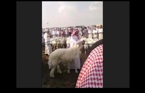 مزاد علني سعودي على 
