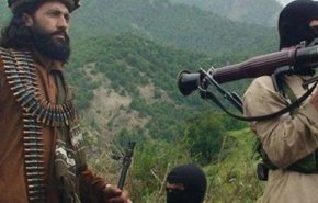 منظمة شنغهاي للتعاون تدين العنف المتواصل في افغانستان