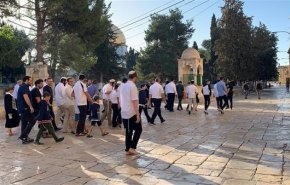 مستوطنون صهاينة يقتحمون حي الطيرة برام الله
