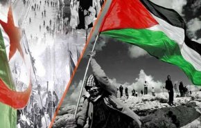 أول تعليق جزائري بعد منح 