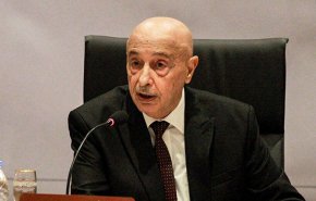 عقيلة صالح محذرا: ليبيا قد تعود إلى اضطرابات 2011
