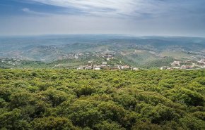 اندلاع حريق كبير شمال لبنان