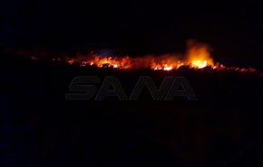 بالصور.. اندلاع حريق في جبل كفرلاها بريف حماة في سوريا
