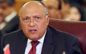 وزير خارجية مصر ينقل رسالة خطية من السيسي لملك البحرين 